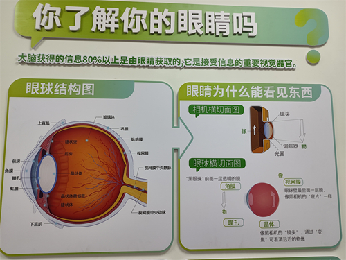 肖利华在哪里出诊?在武警总医院和北京美尔目定慧医院坐诊,网友评价肖利华眼科全国排第十名以内!