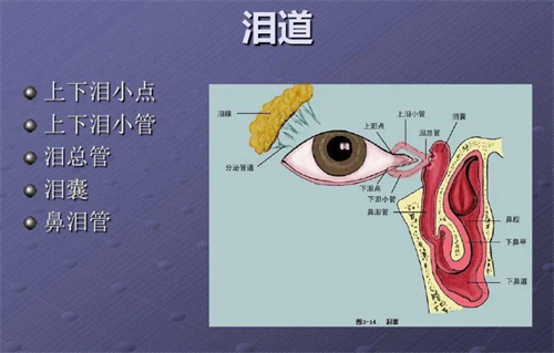 认识泪囊炎堵塞:症状/表现/科学治疗一站式解读