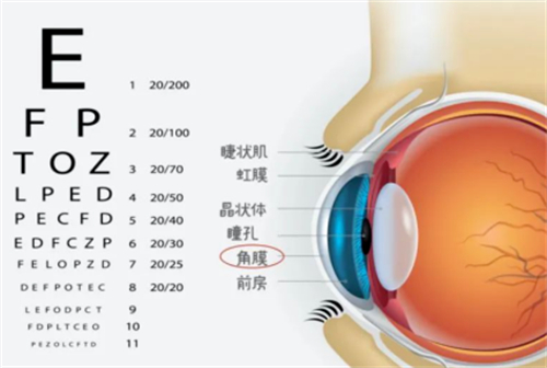 光明眼科医院24小时在线电话是:0769-22***61，支持在线解答和在线预约！