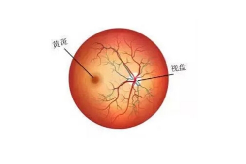 省时省力超便捷！兰大一院眼科挂号网上预约全流程大公开