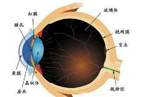 大连中爱眼科医院预约挂号线上操作指南，文内附三种线上预约方式！