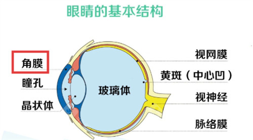 2025视神经再生费用价格表公布,不同治疗方案价格费用不一样!