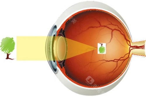 青岛眼科医院电话号码预约挂号0532-85876380，24H人工客服问询入口！