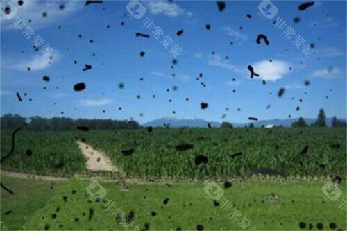 爱尔眼科飞蚊症消融术收费不贵，6000元起/单眼区不同地区价格会有差异！