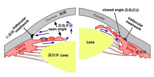 上海做青光眼手术哪家医院好？和平眼科|爱尔眼科|医大眼科做青光眼治疗都很拿手！