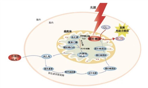 保定高碑店德仁眼科医院抗VEGF治疗怎么样?眼内注射价格在2000-2850元起/针!