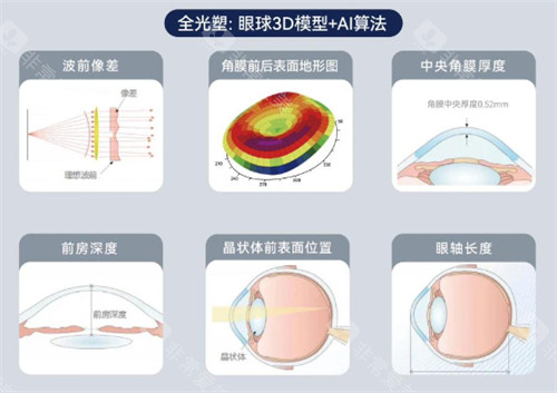 全光塑3D AI算法简介