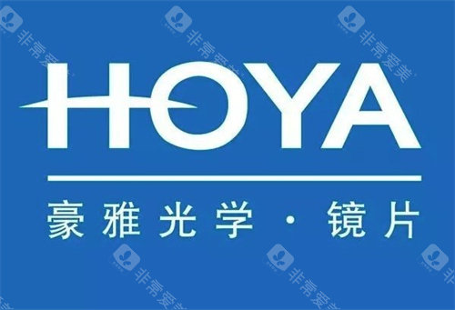 豪雅镜片LOGO