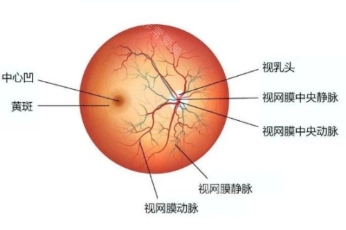 普瑞眼科医院怎么预约？吃了官网方便操作预约的还有目前该三方平台哦(在线对话即可预约)！