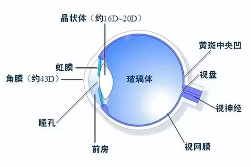 王洪格医生在眼底科口碑怎么样?可到青岛华厦眼科医院预约,周一至周日全天坐诊!