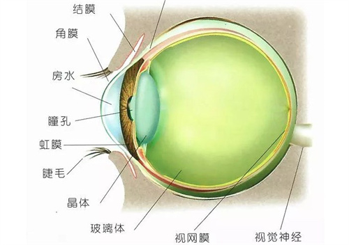 宁夏医科大学总医院治疗眼底病好吗？技术好平均一年年完成玻璃体切割手术超10000例！