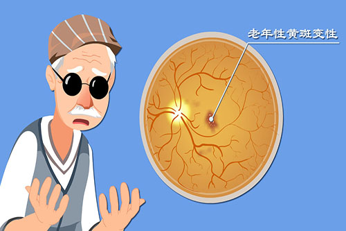 西安第四医院眼科雷春灵医生简介预约入口：眼底病诊疗_黄斑病变/视网膜脱离精细施治