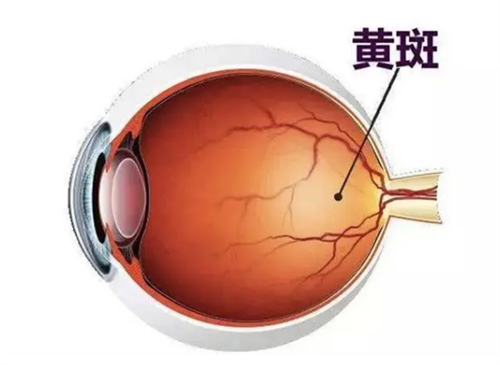 廊坊看老年眼睛的医院哪家好?爱尔眼科连锁确保,长辈眼病夜间急诊+术后复查超省心