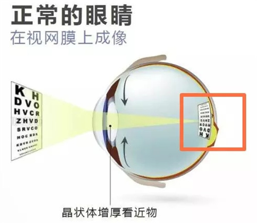 青岛眼科北部院区预约挂号全攻略：可拨打电话号码、微信、官网等线上预约！