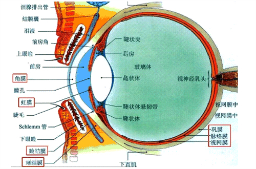 北京海淀区眼科医院哪家好?熙仁眼科医院和普祥眼科医院都是能做后巩膜加固高难度手术的!