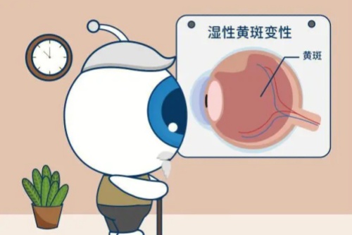 朝聚眼科预约电话明确：400692****，专注近视矫正与白内障诊疗