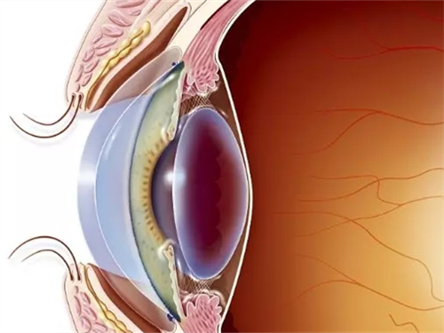 郑州眼角膜手术医院哪家好？这三家专科医院口碑都不错！