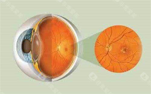 重庆眼科医院哪家靠谱?南坪爱尔11位医师坐诊_眼整形/眼底病/小儿眼科全项目!