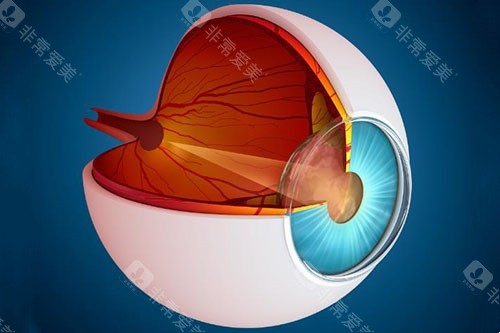 【邢台眼科网上预约入口】官网预约/微信预约/电话预约等多种方式都能提前预约挂号! 