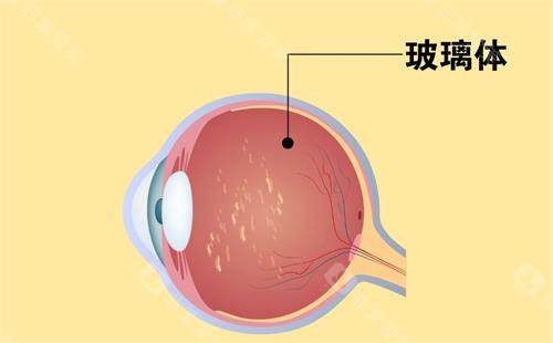 兰大二院眼科陶明医生门诊时间_坐诊时间_预约挂号方式流程_收费价格表一览! 