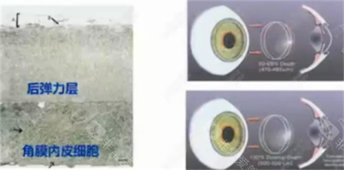 华西眼科挂号怎么挂号？华医通APP实名预约，早晚8点抢号秘籍，无节假日门诊解决上班族看病难