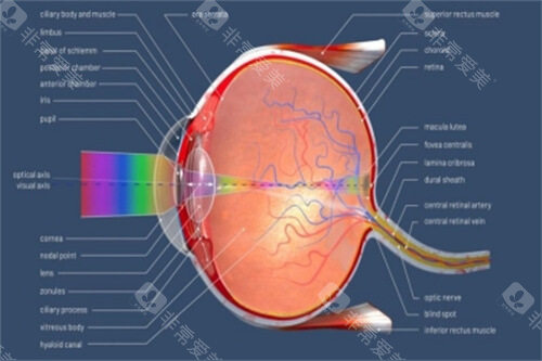 沧州市中心医院眼科哪个大夫好？范玉香、郎卫华等多位医师实力揭秘！