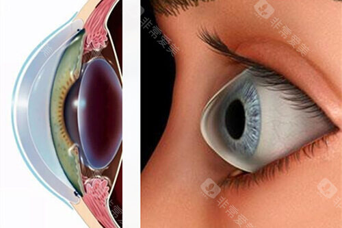 北京同仁眼科医院怎样预约挂号?线上问询预约挂号|微信预约登记|现场预约登记|社区转诊预约