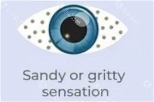 中山大学中山眼科中心怎么预约？公众号/电话/APP/现场全流程，附放号时间