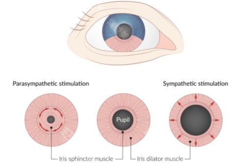 就医必看｜西安四院眼科网上预约挂号攻略，轻松约到医师号